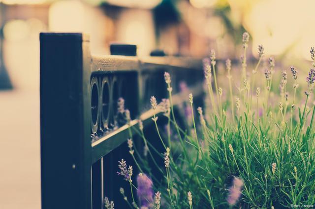 时光流逝，永不停息｜古文里那些惊艳了时光的诗词 - 知乎