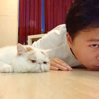 Zhihu profile picture for @stat