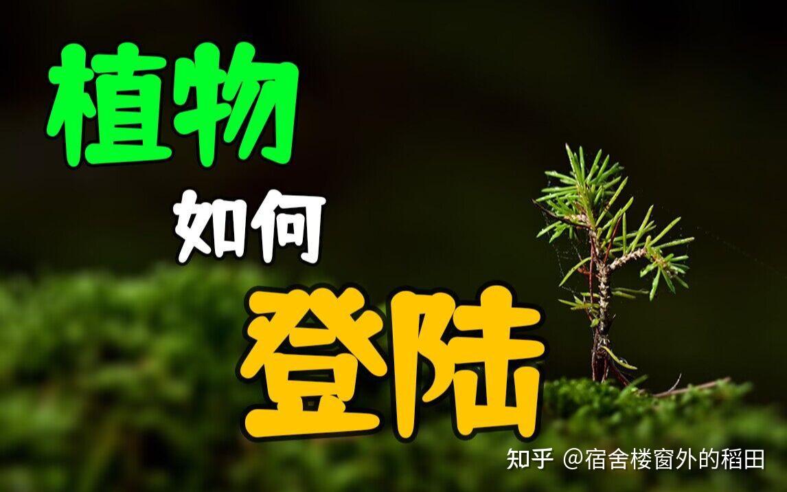 脊椎动物的演化史（2） - 知乎