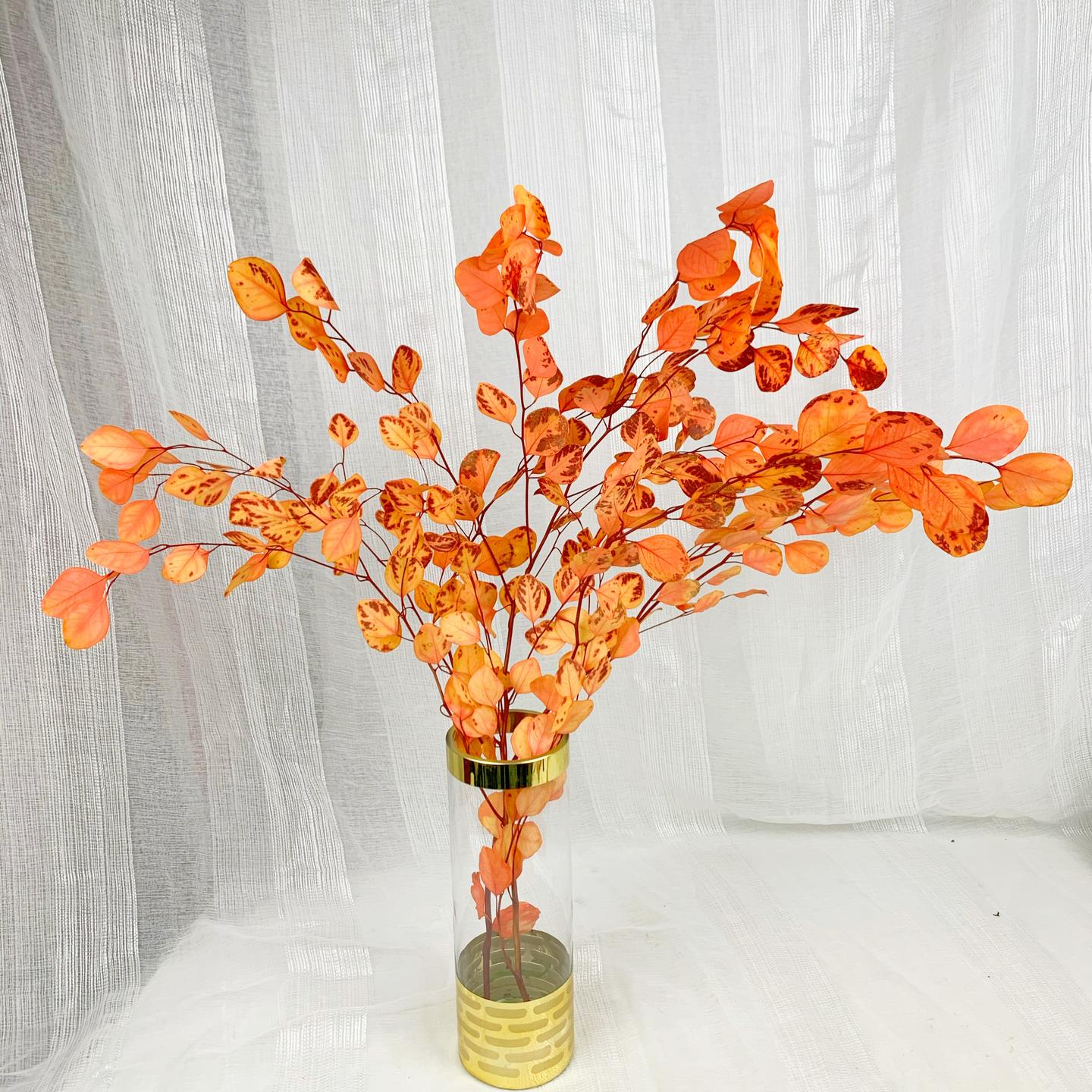 秋季花材清单 用色彩温暖你的秋季 知乎