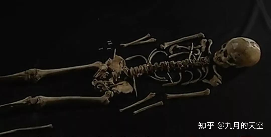 v2-f2c55a4854ab17fb099f079e6d1fe41c_r.jpg?source=1940ef5c