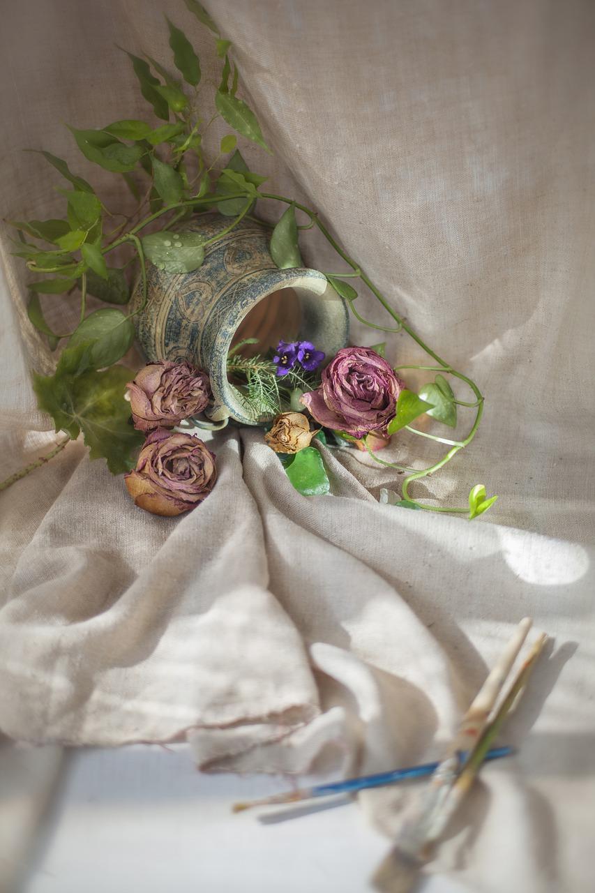 家中摆放什么花卉最好