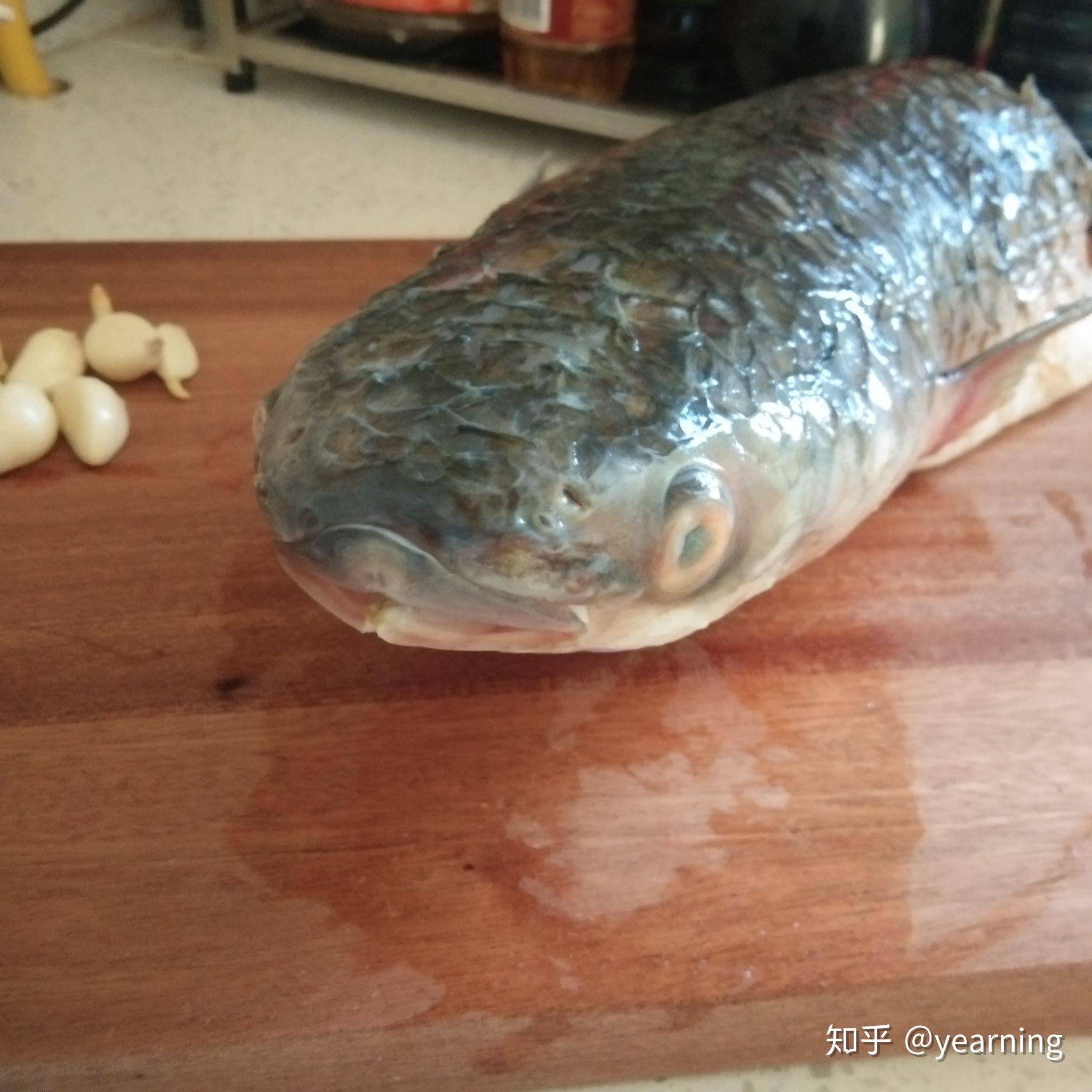 从早市上买的鱼头扁扁的像蛇头小贩说是棒棒鱼但是网上好像又查不到