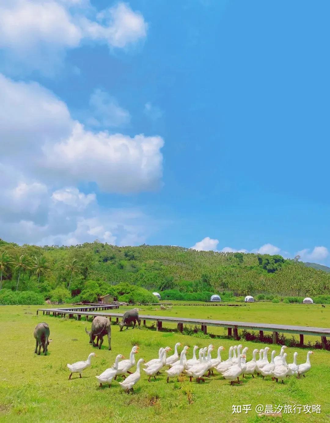 海南旅游攻略：拜托！！！想去万宁的存下吧，这里有超全攻略哦 - 知乎
