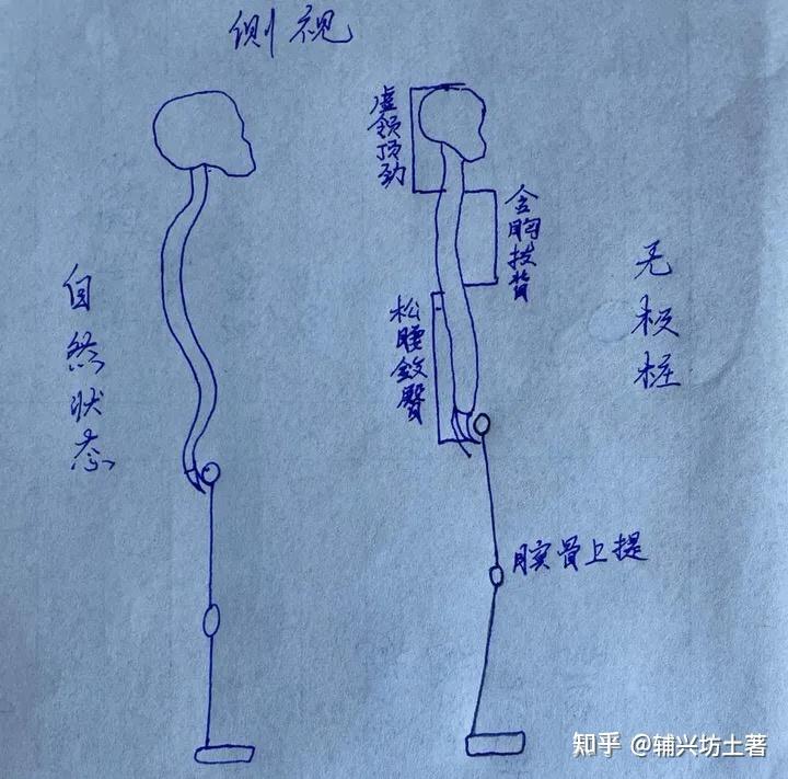 请问正确的扎马步或者站桩的姿势是什么样的? - 知乎