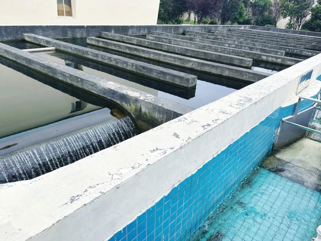 嘉禾县盘江水厂提质改造项目有序推动