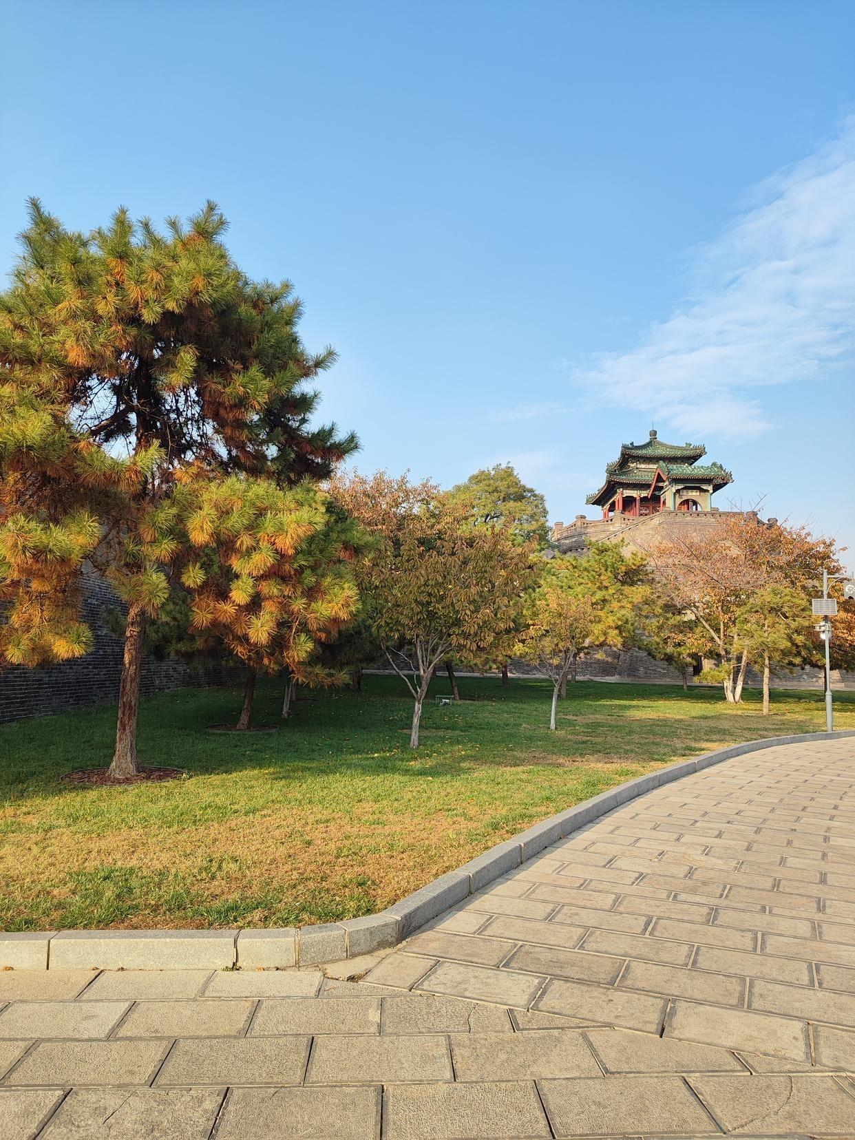 有哪些邯郸赵苑景区的旅游攻略分享?