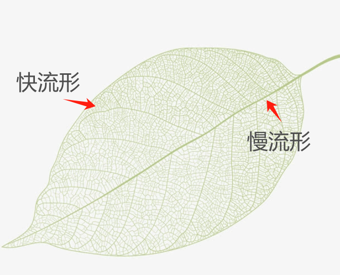 Nonlinear System- Chapter 11. 快、慢流形与奇异摄动的稳定性分析 - 知乎