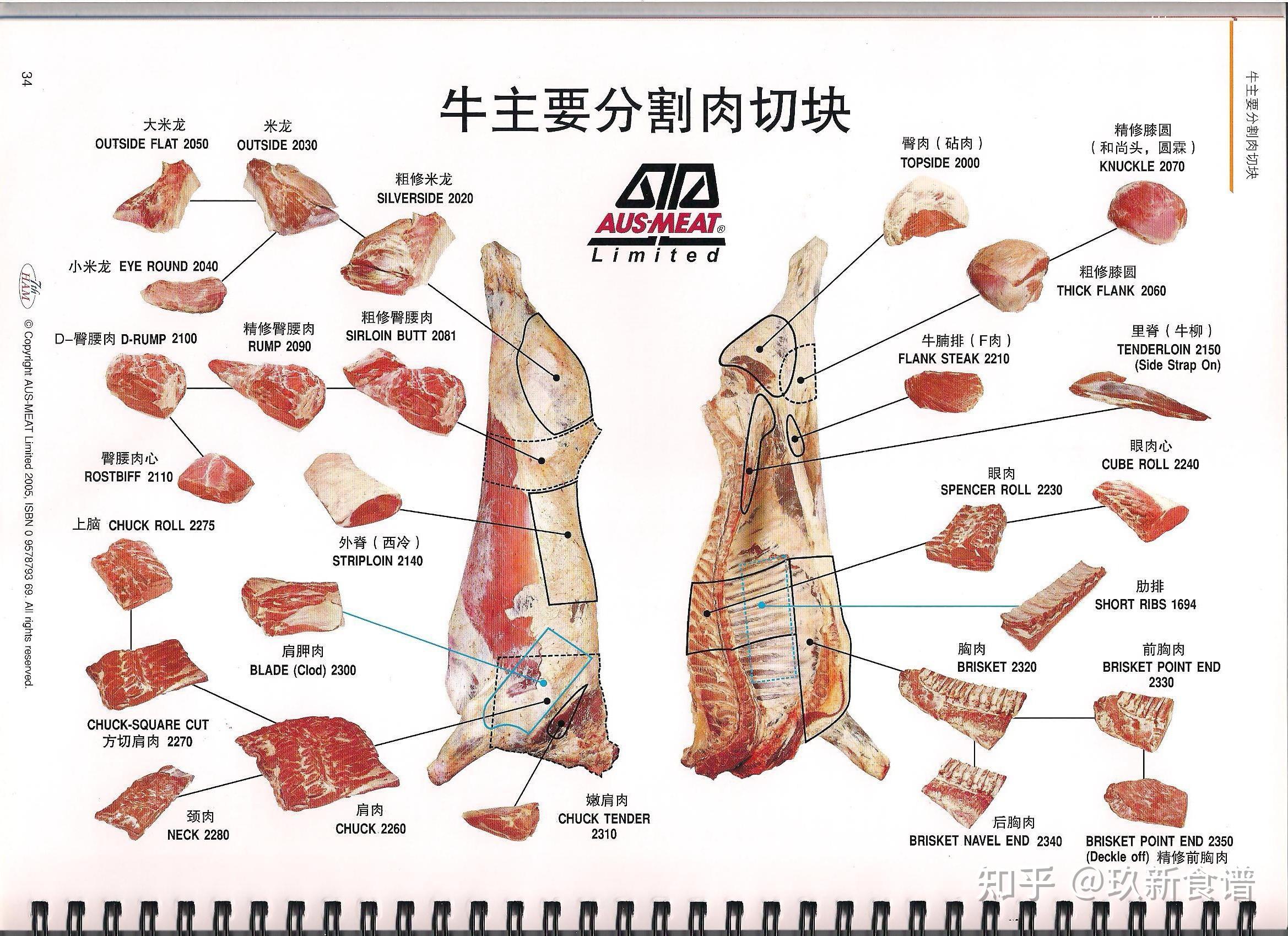 牛分割图 明细图片