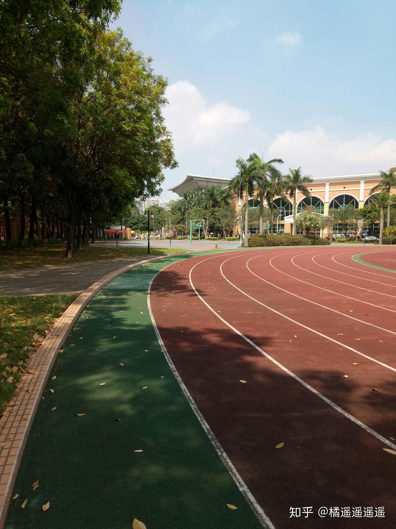 在顺德华侨中学就读是一种怎样的体验?