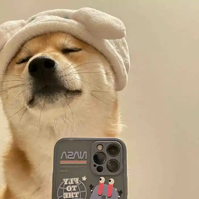 有哪些沙雕头像推荐? - 知乎