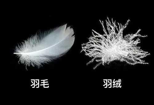 羽绒服充绒量蓬松度