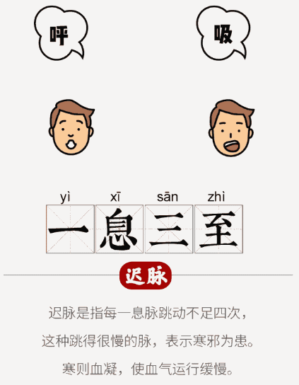图解脉象｜五步思辨切脉法，及28脉脉象脉歌动态图解 - 知乎