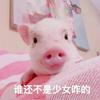 陈Q