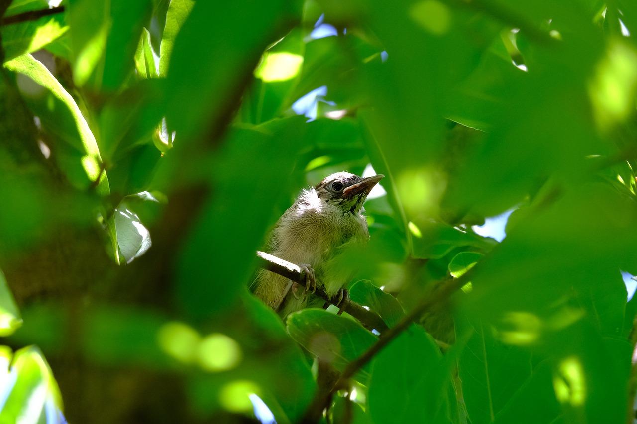 黄鹂区域拆迁动态