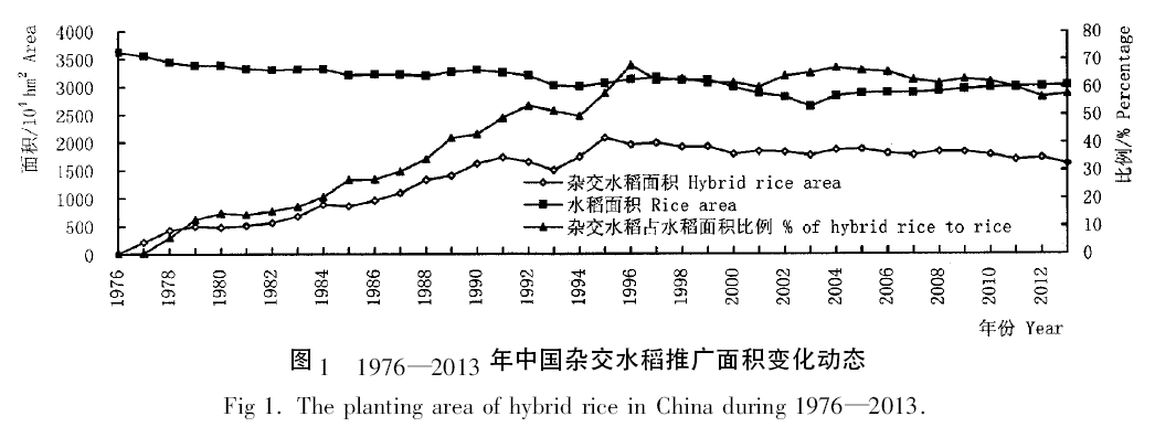 籼型杂交水稻产量图片