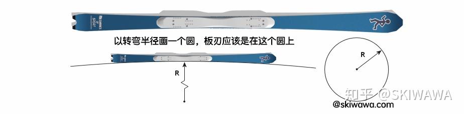 双板滑雪板详解-About Skis｜最全双板滑雪干货教程 - 知乎
