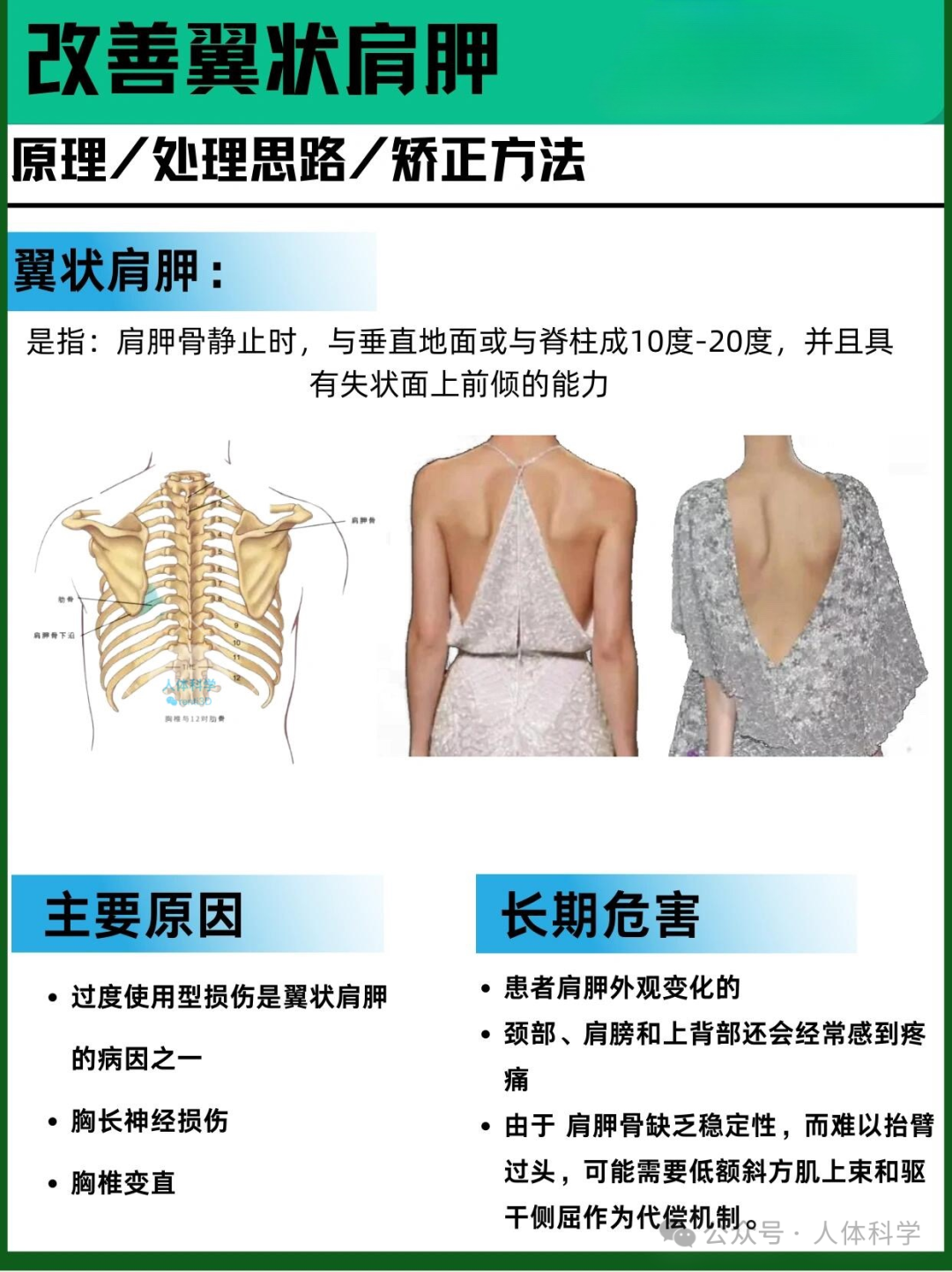 【翼状肩胛】改善“蝴蝶背”的原理、思路和矫正方法 - 知乎