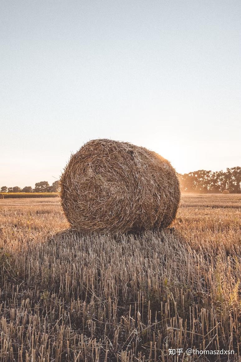 js 中 bundle 有什么作用？ 知乎