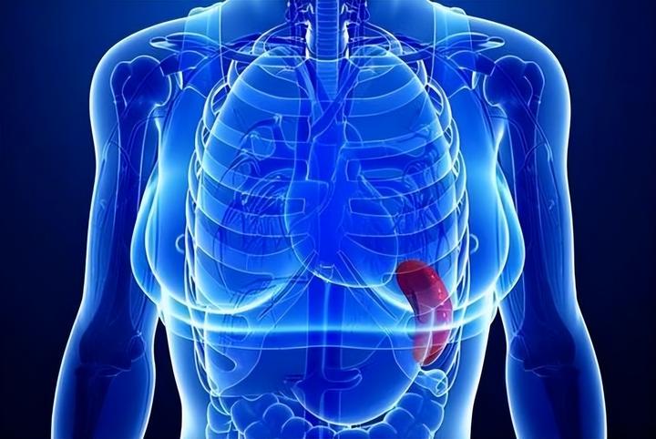 第三章:脏腑之生理病理(3)——脾与胃