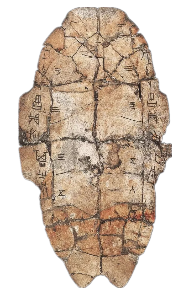 这两片甲骨文的编号是多少? - 知乎