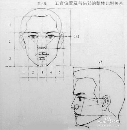 五官比例怎樣才能畫好