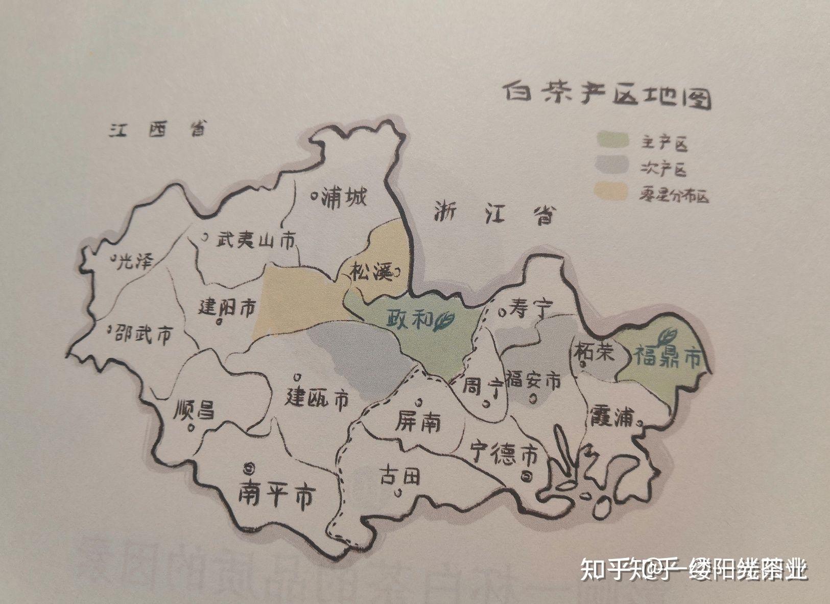 白茶有哪些产地具体有何不同