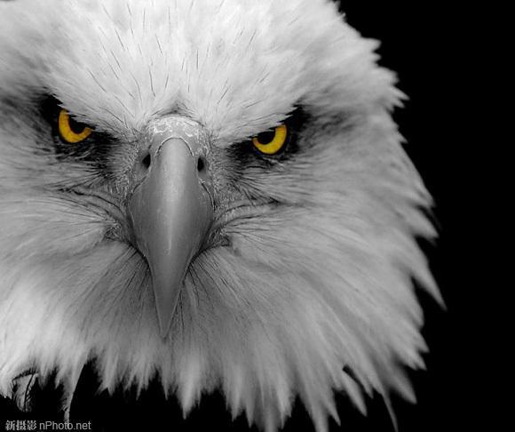 Xilinx文档编号及其内容索引 - 知乎