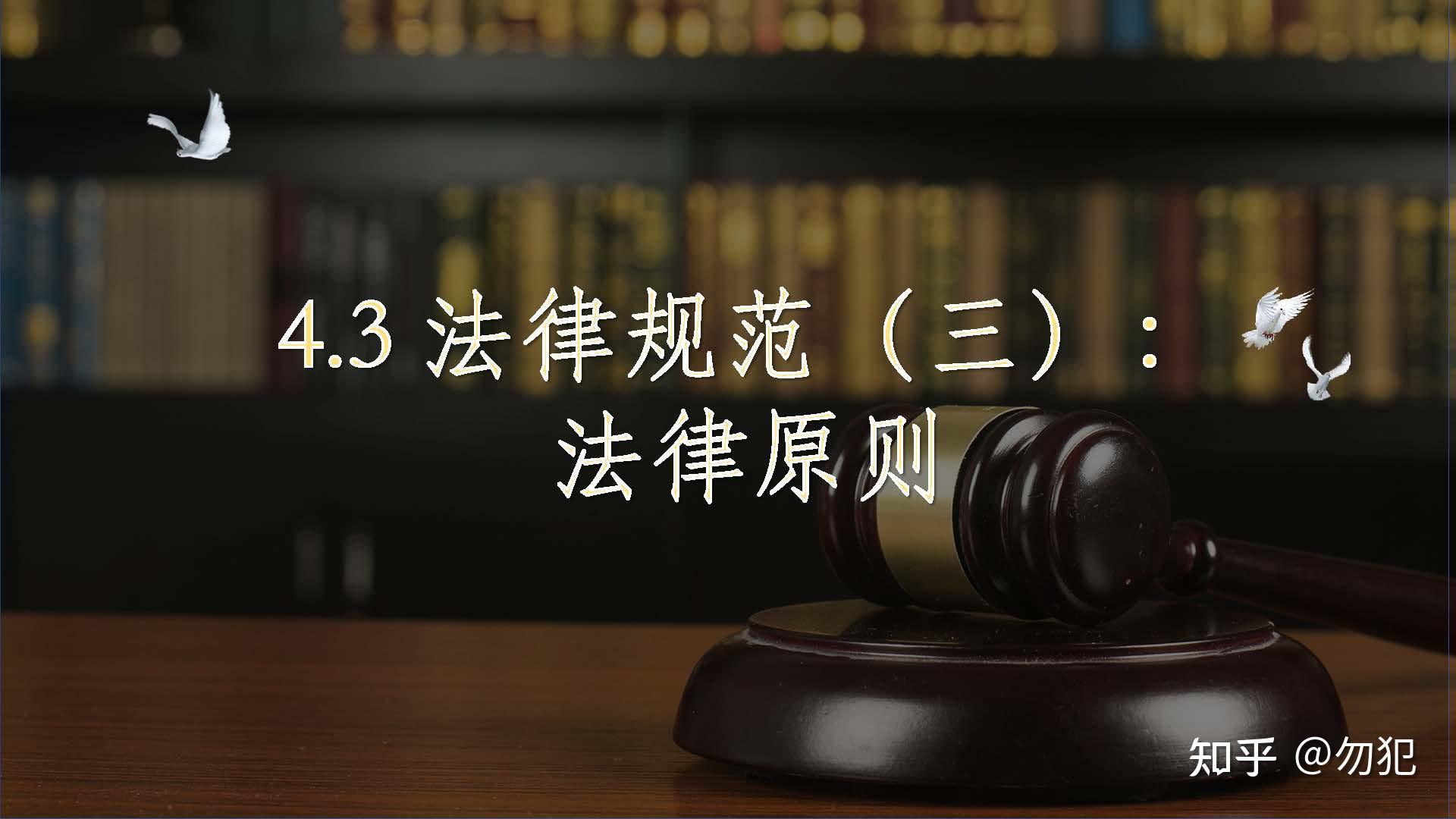 4.3法律规范（三）：法律原则 知乎