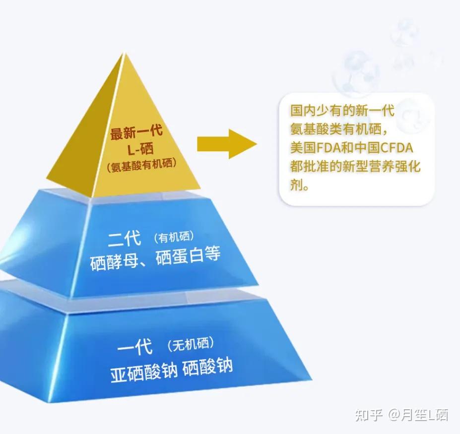 【月笙万洋L-硒科普】为什么补硒需要坚持用3-6个月才会达到明显效果呢? - 知乎