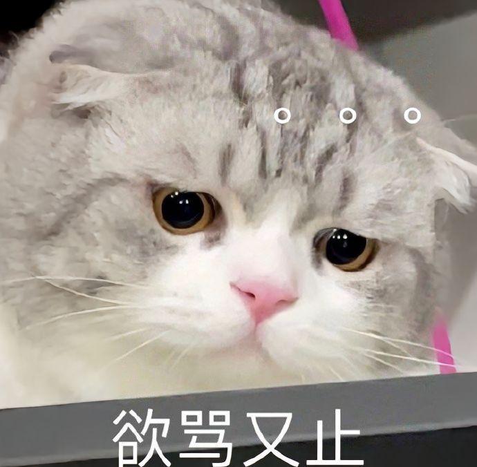 有没有什么实用又好笑的表情包? - 知乎