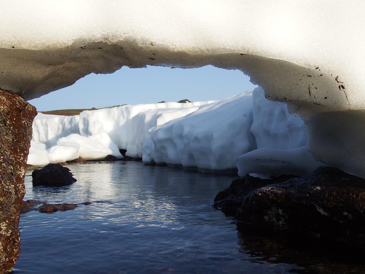 春天的竹林翠绿如画
