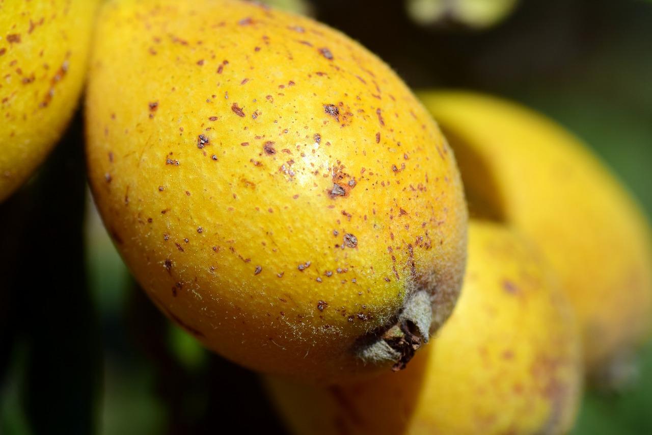 2. 富含天然维生素