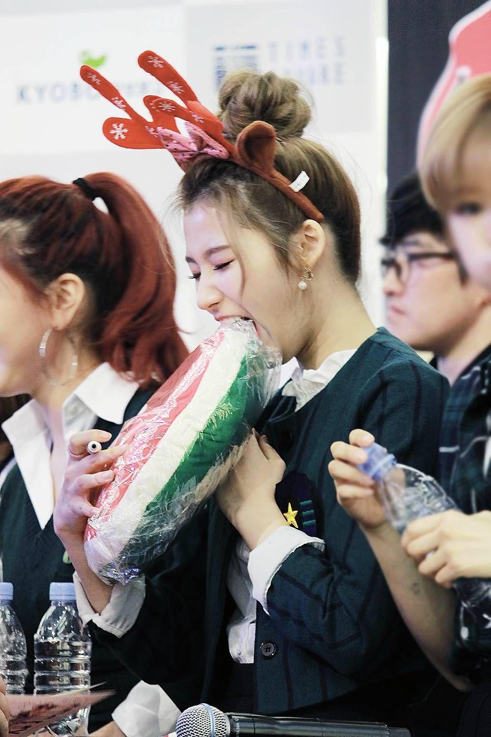 评价一下twice的樱花line吧? - 知乎