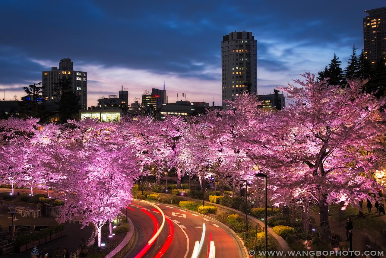 如何拍好夜景 知乎