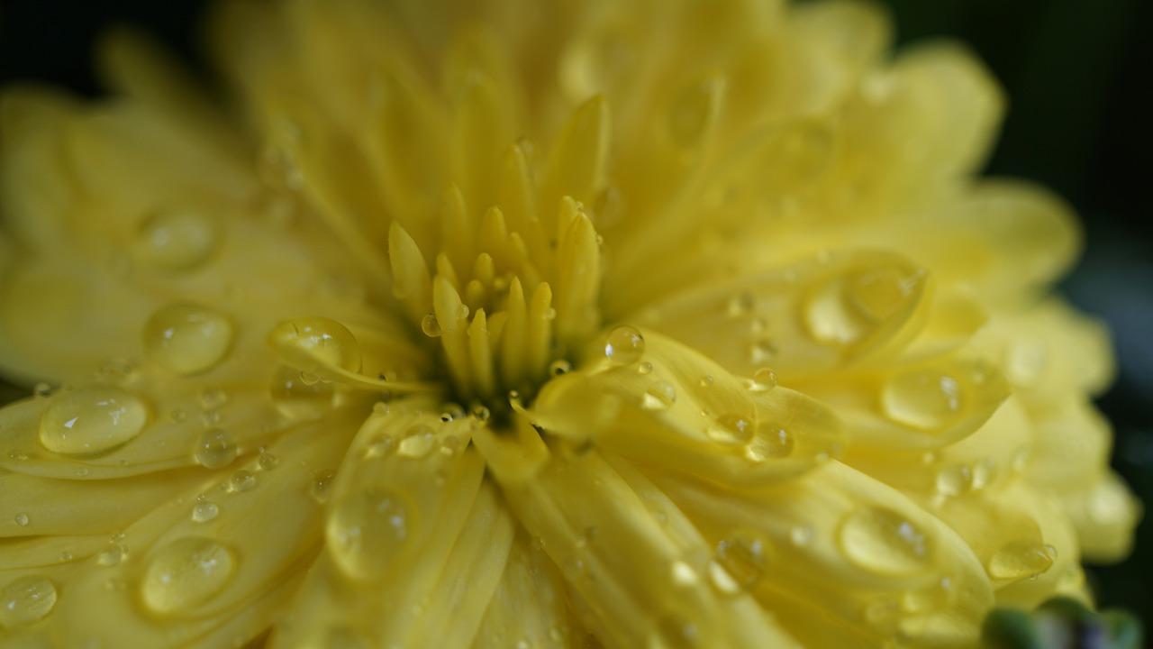 4. 除湿温度设置