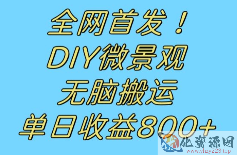 全网首发冷门赛道！DIY微景观，无脑搬运视频，日收益800+【揭秘】