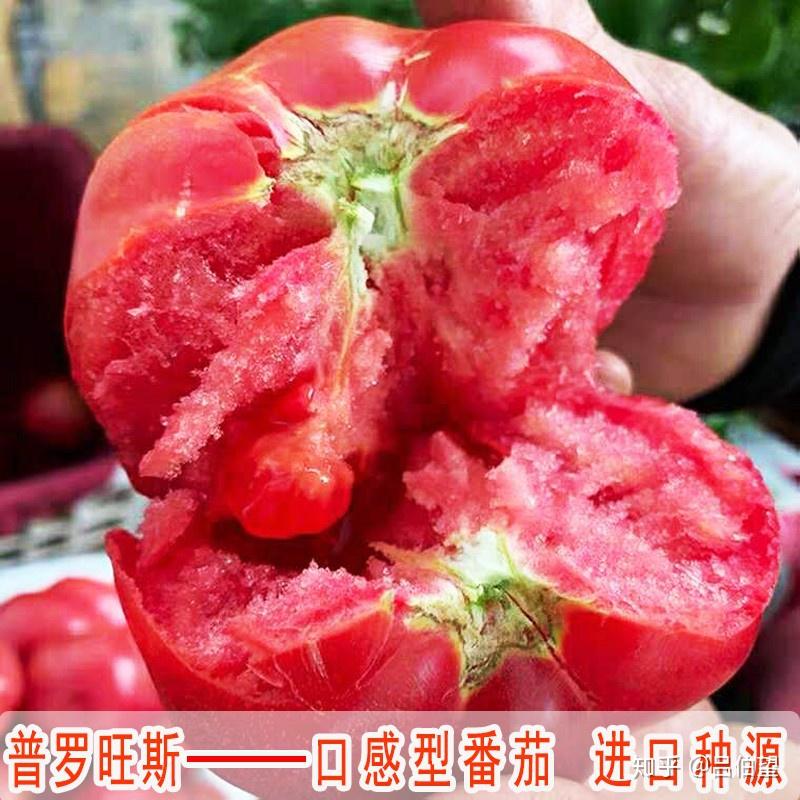 我的退休田园生活（十五）春播夏令时蔬 - 知乎