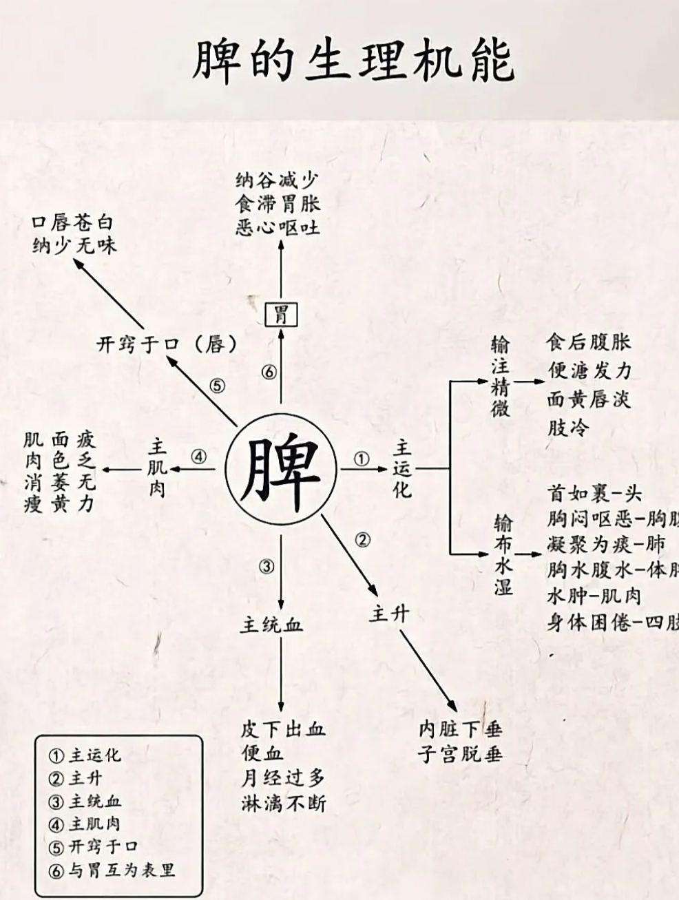 中医里的五行五脏,你知道多少呢? - 知乎