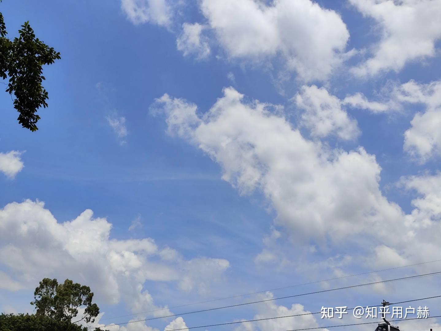 文笔挑战:"哪有书香无墨迹"开头,下一句怎么接?