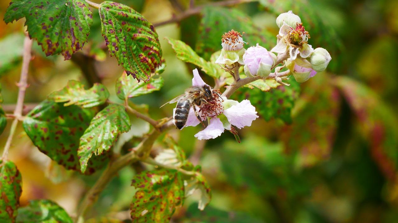 4. 高端楼盘价格