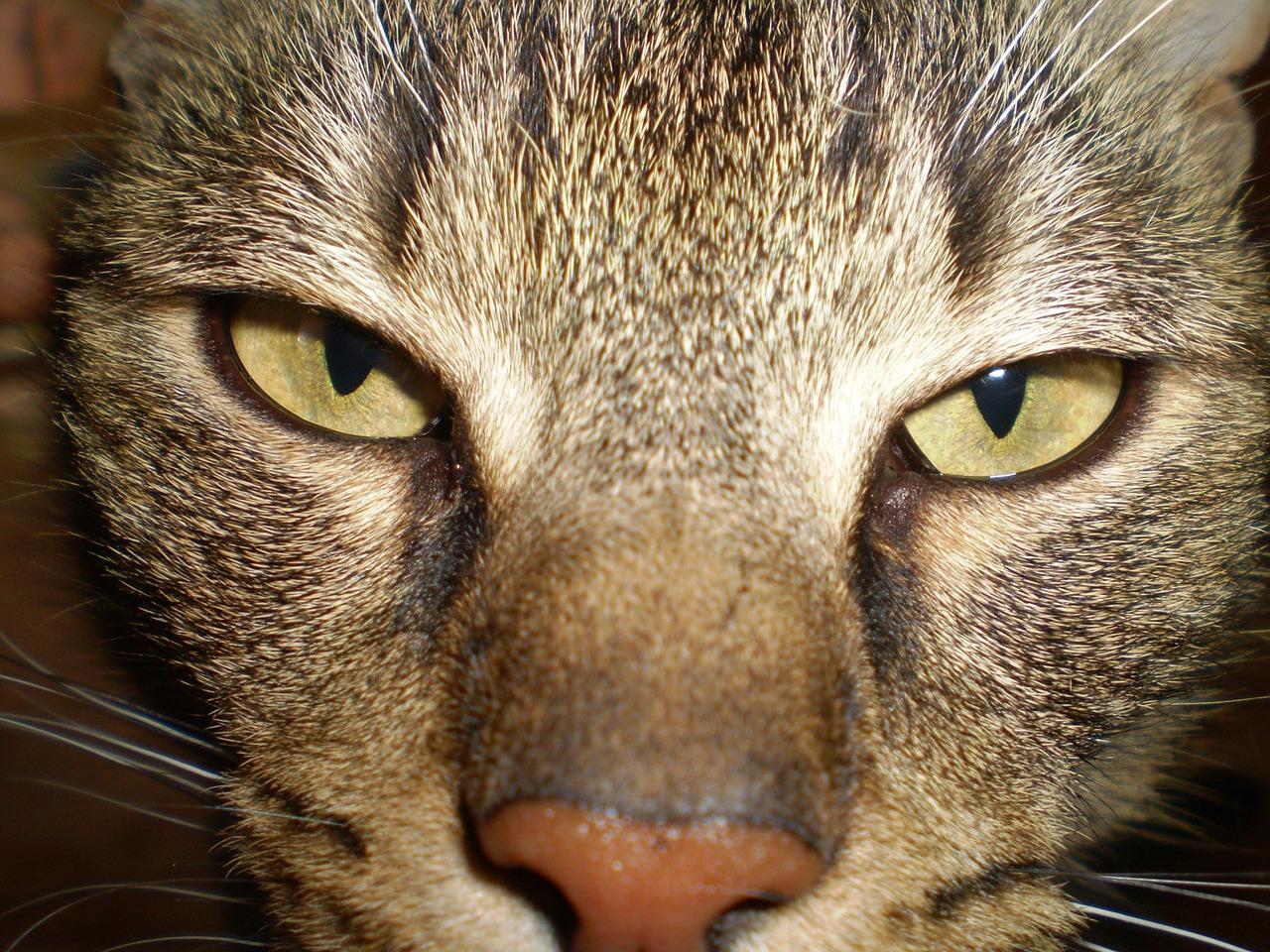 如何挑选环保涂料