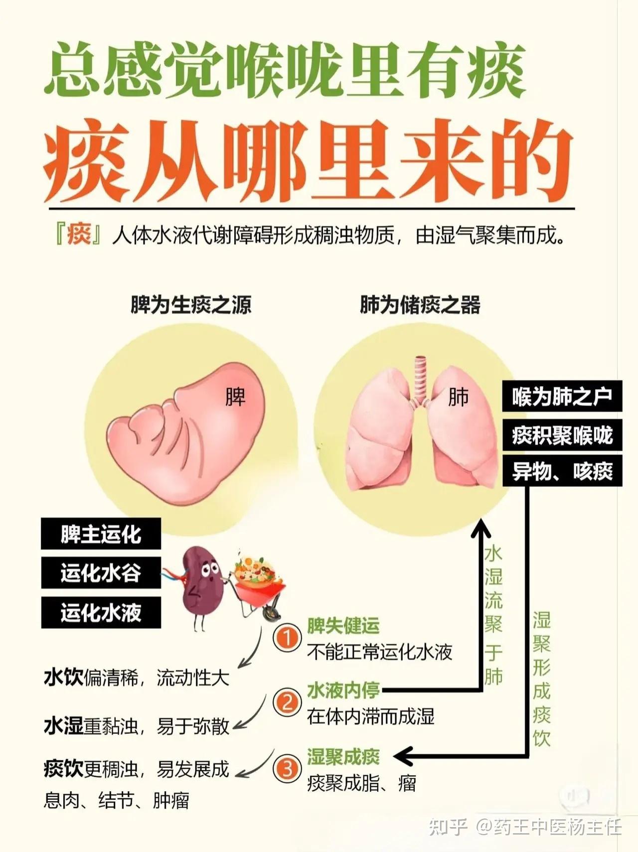深度解读,什么是痰湿! - 知乎