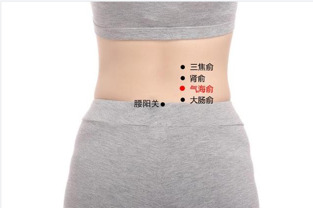 每日养生一穴之气海俞穴
