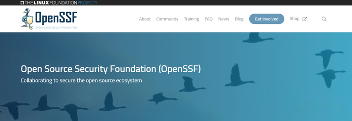 OpenSSF 新进展：推出工具和数据集 CVE 基准，建立安全评分卡 - 知乎