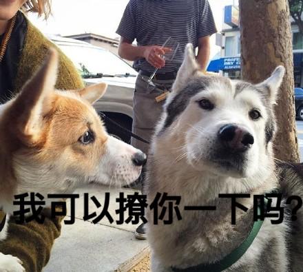 3月18日基金两点半作业有色板块波段行情刚刚开始空仓