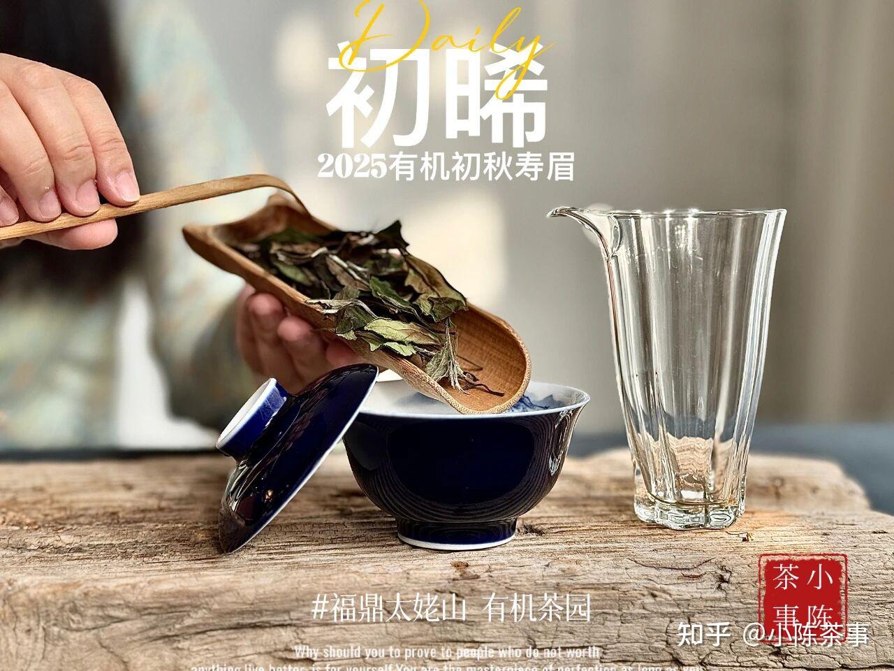 过年必看！什么茶适合送礼？记住3点，就会选了 - 知乎