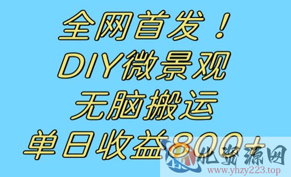 《DIY微景观无脑搬运项目》日收益800+_wwz