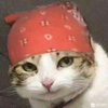 Nobody 一号机