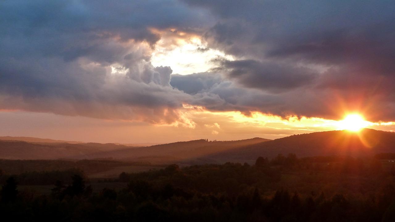4. 阴凉地植物品种